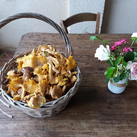 Les Gravets 3* Sigalens