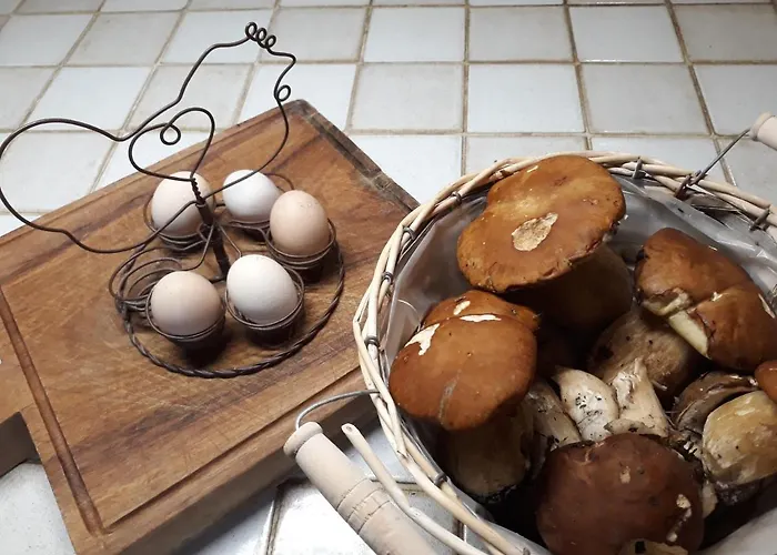 Гостевой дом Les Gravets 3*