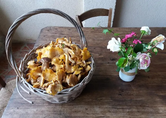 Les Gravets 3* Sigalens